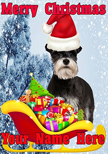 Rouleau De Mousse EVA Blanche 13 X 19 Pouces, 3 Mm D'épaisseur - Pour Bricolage Et Loisirs Créatifs