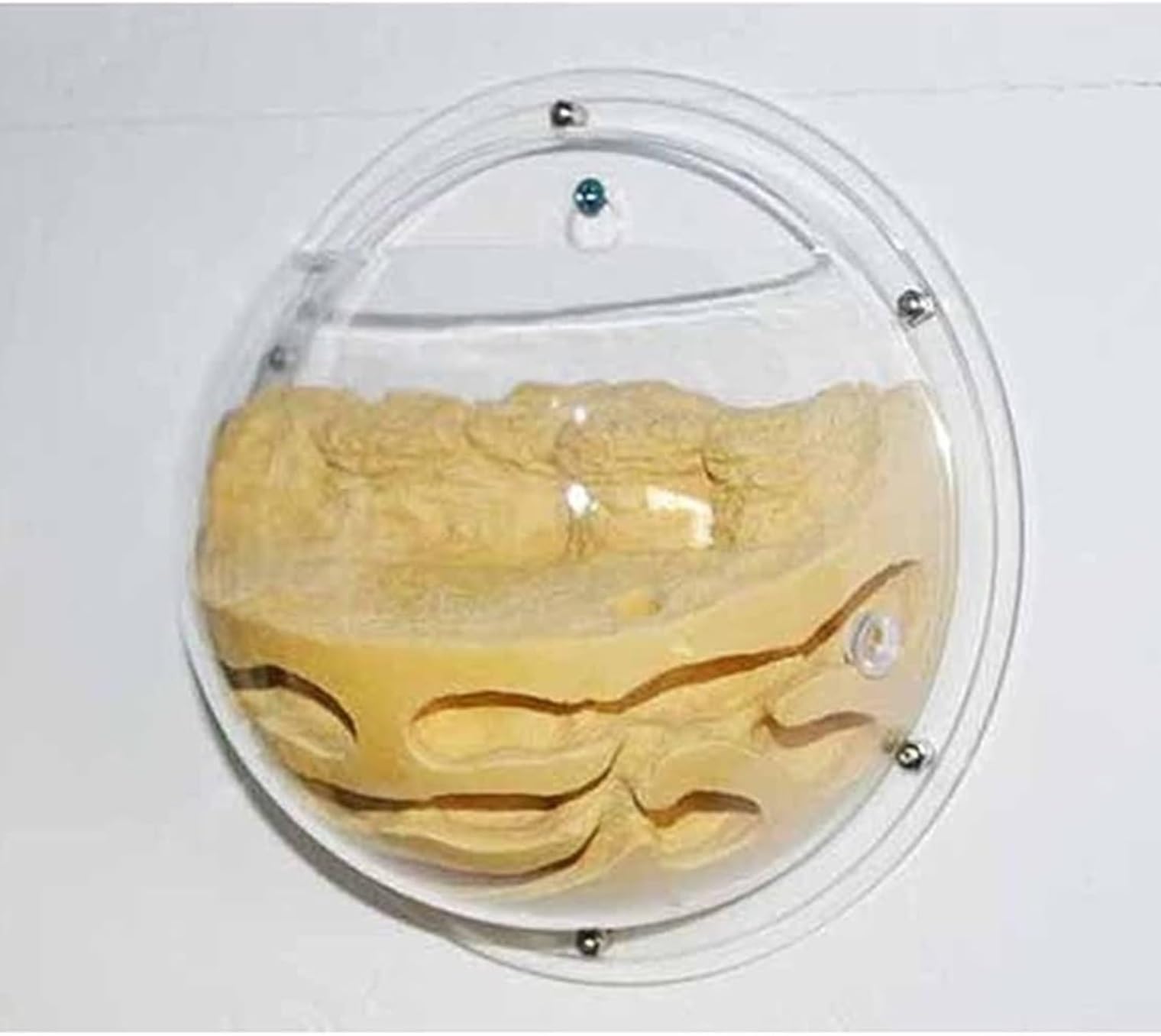 Farma Mrówek Terrarium Dla Owadów Na Farmie Mrówek, Półokrągłe Wiszące Gniazdo Odpowiednie Do Narzędzi Edukacji Naukowej Gniazdo Mrówki(Yellow)