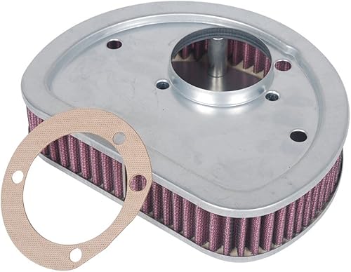 HIFROM Elemento limpiador de filtro de aire de repuesto compatible con Harley Davidson FLHR Road King Road King FLSTC Heritage Softail Classic