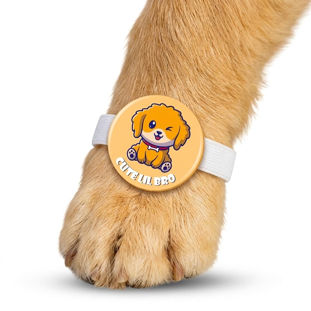 TheYayaCafe Dog Rakhi for Pets Cute Lil Bro Acrylic Rakshabandhan Gift for Dogs, Rakhi for Fur Brothers, Brother, Family-image-36