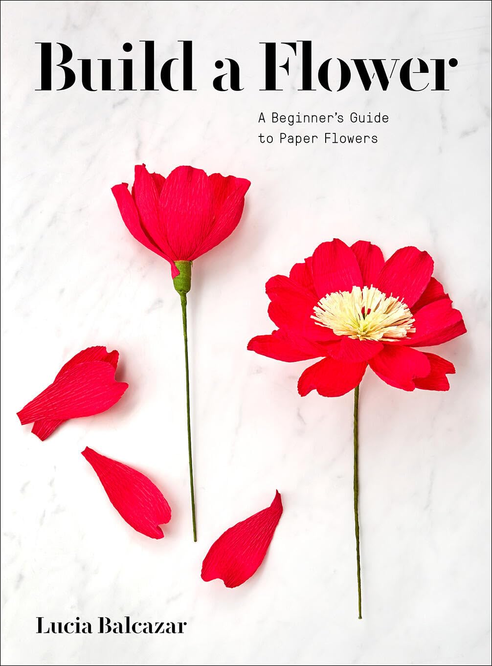 Build a Flower by Lucia Balcazar (Paperback Book)