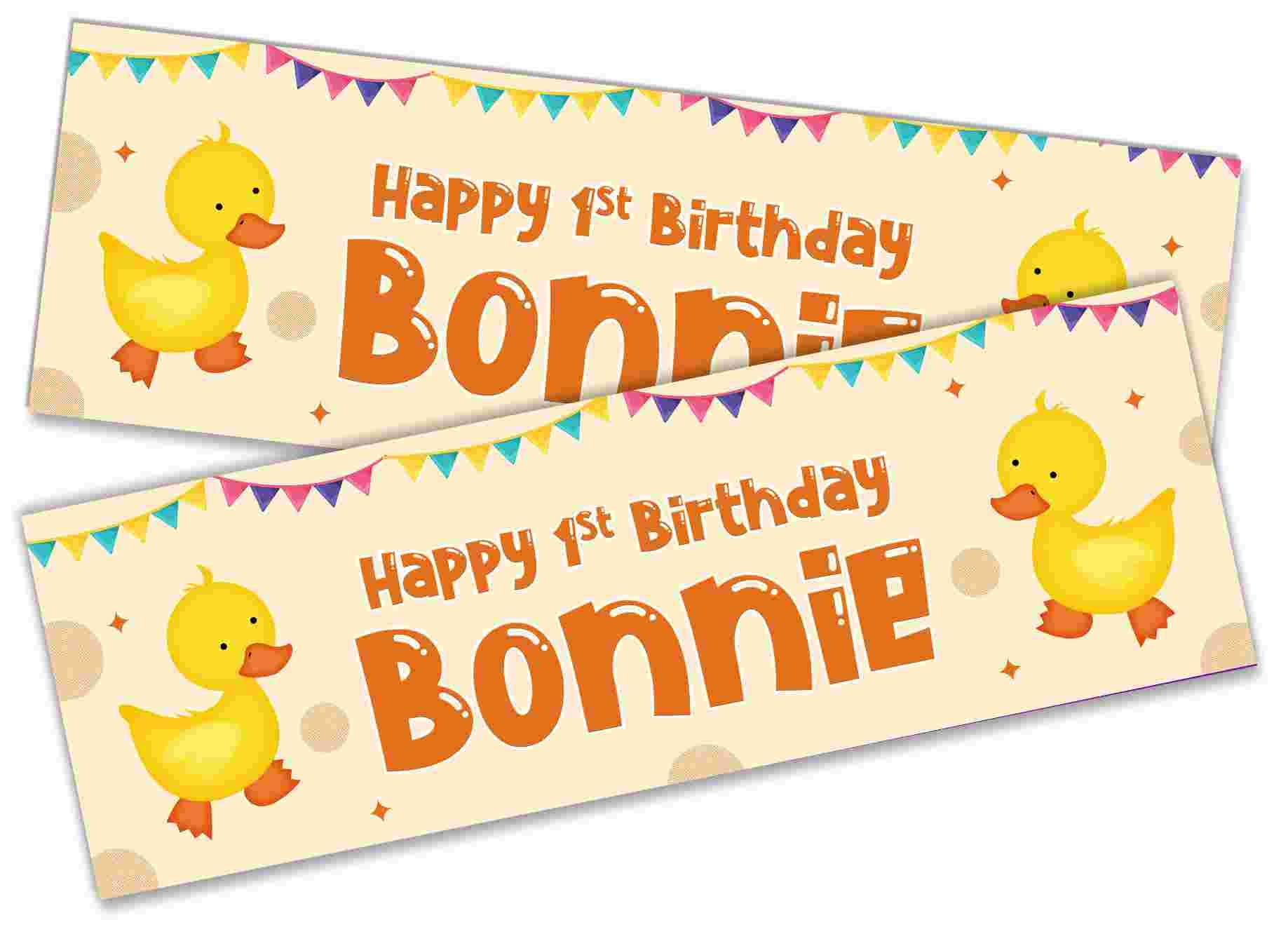 x2 Personalised Birthday Banner Duck Design Children Kids Party Decoration Poster 34 (Large-6ftx2ft)