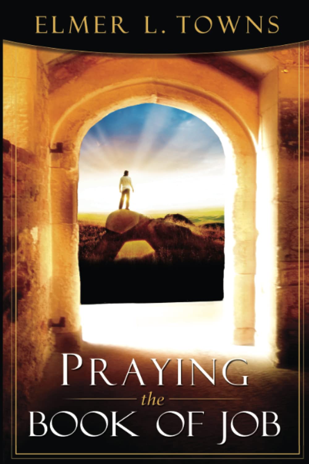 Praying the Book of Job: To Understand Trouble and Suffering (Praying the Scriptures)