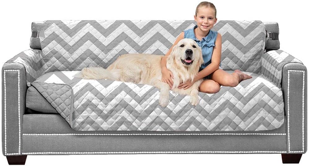dog durable couch