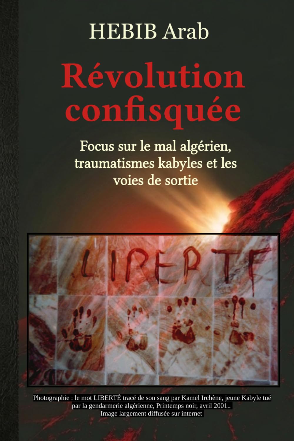 Révolution confisquée: focus sur le mal algérien, traumatismes kabyles et les voies de sortie.