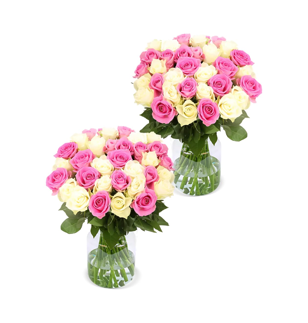 Blume Ideal Rosenstrauß - Rosen in verschiedenen Farben und Mengen - Ø 40–50 cm - Echte premium Blumen für Hochzeit & Deko - 7 Tage Frischegarantie