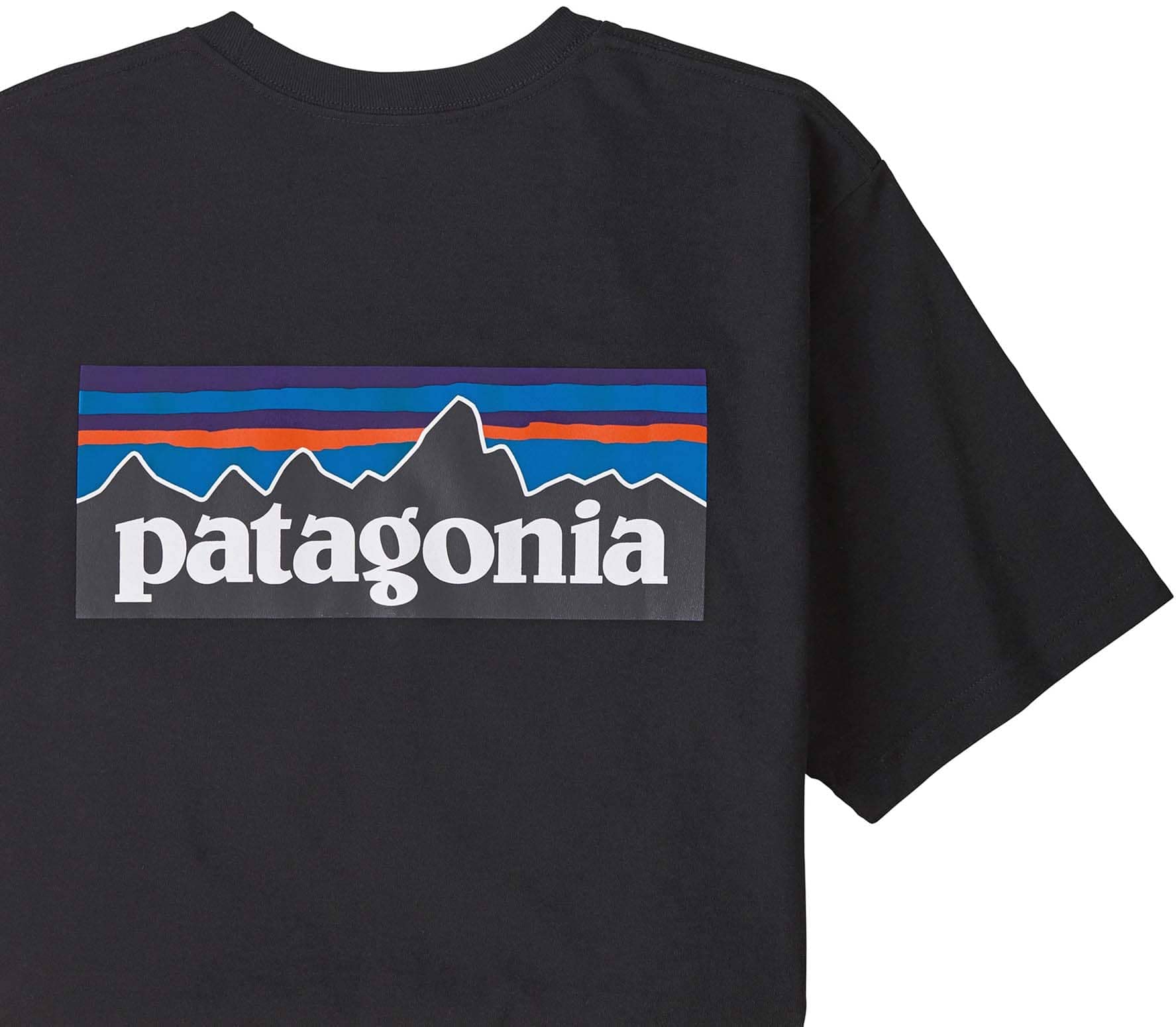 Patagonia P-6 Logo Responsibili-tee Camiseta Hombre