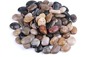 5 Lbs Polished Bulk River Rocks for Outdoor Decor