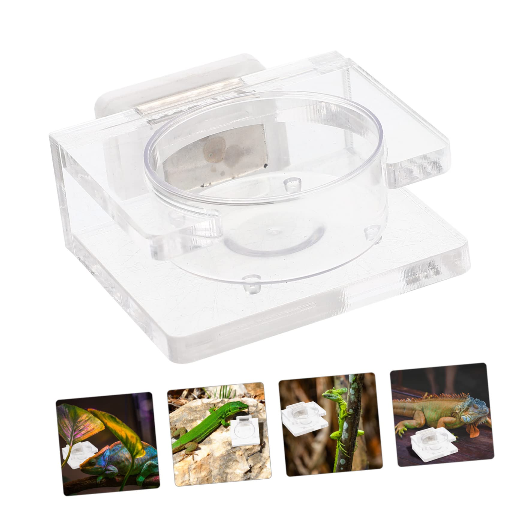POPETPOP 5pezzi Ciotola per Rettili Mangiatoia per Lucertole e Insetti Dispenser Esotici Design Bave per Rettili