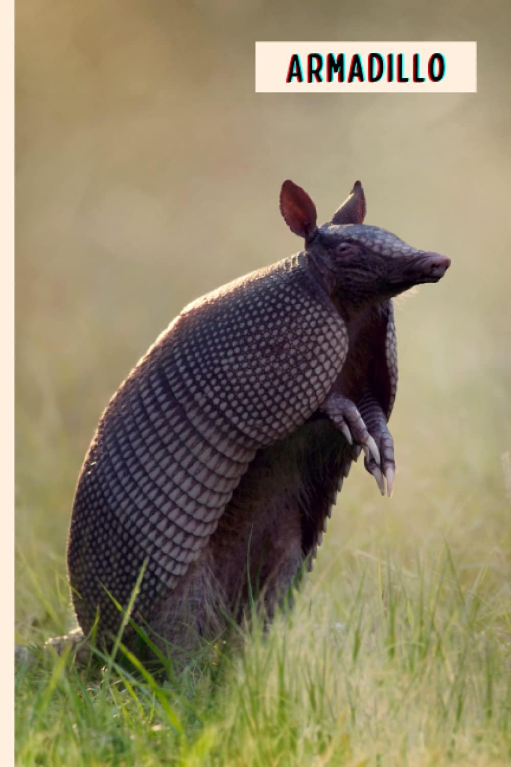 Armadillo: Composition Notebook For Armadillo Lovers , Armadillo Lined Journal ,6x9 Inches , 110 Pages ,Armadillo Diary