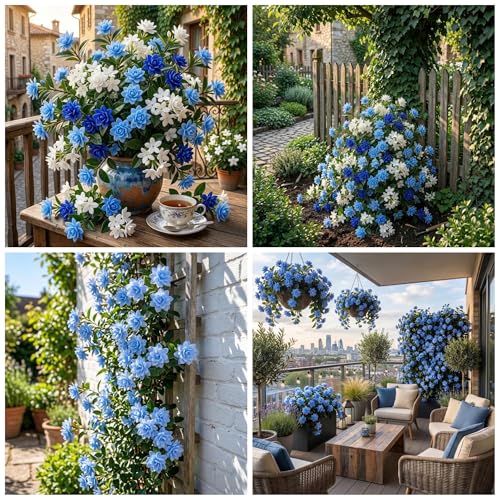 100+ Climbing Jasmine Flower Seeds for Planting Fragrant Plant Seeds Non-GMO Garden Home Jasmine Garden Balcony Climbing Flower