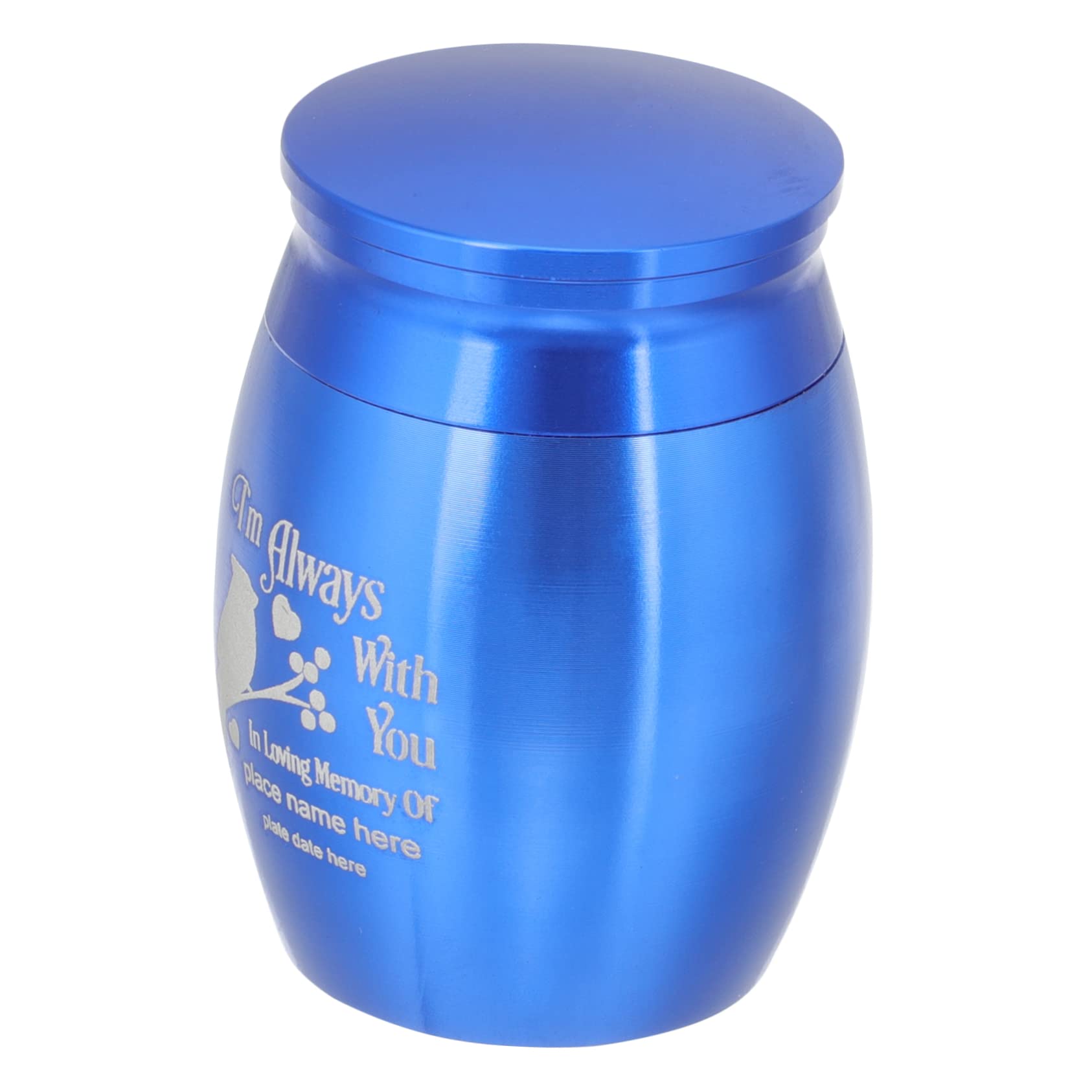 Levemolo cat cremation tank mini pet keepsake urn pet funerary caskets supplies purple urn loss of dog dog memorial bird urn pet funeral burial urn ashes jewelry Stainless steel