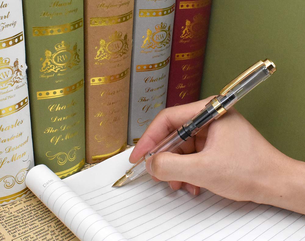 Amazon | Wing Sung 698 14K 万年筆 細字 クリア透明ゴールドトリム