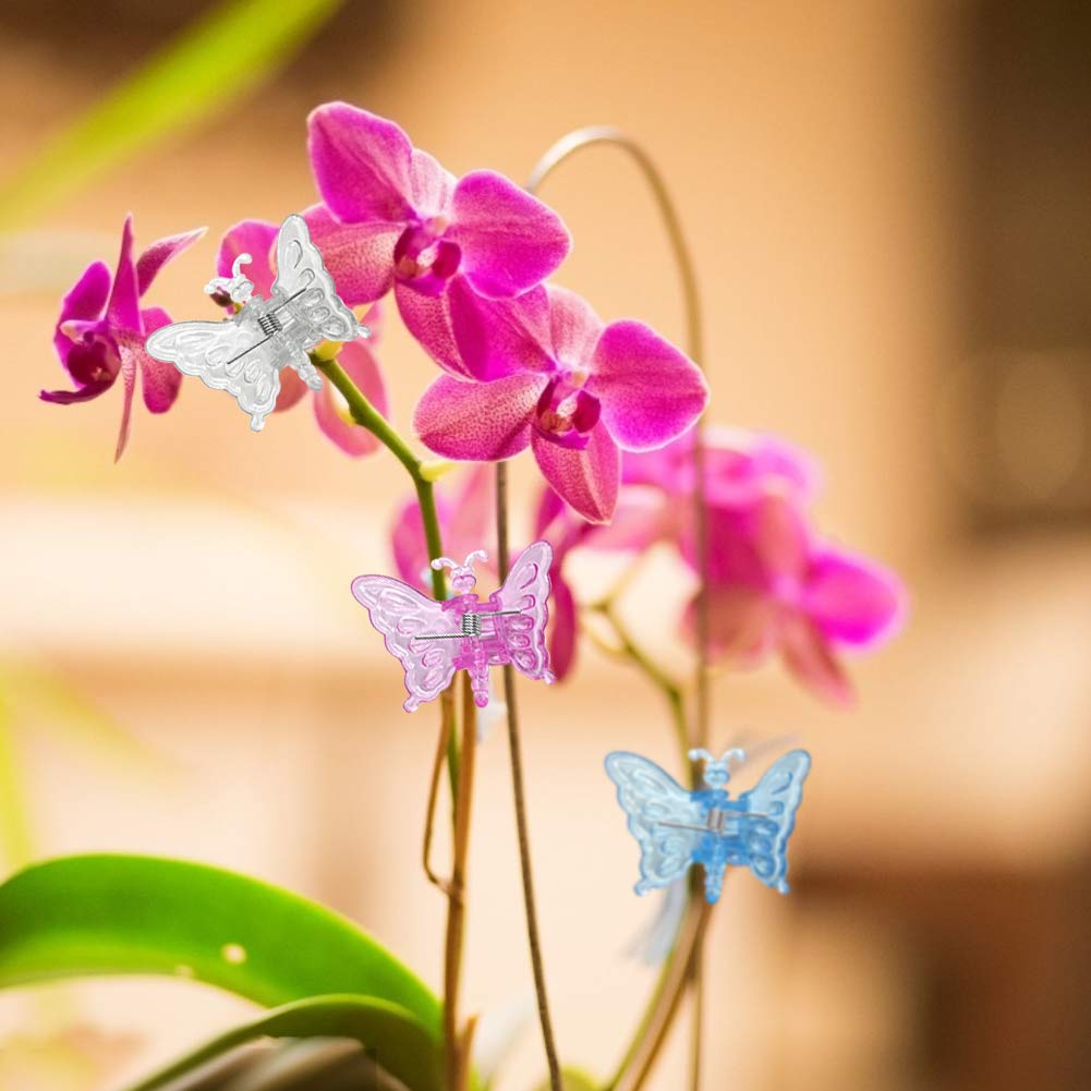 30 clip a libellula per piante da giardino, supporto in plastica