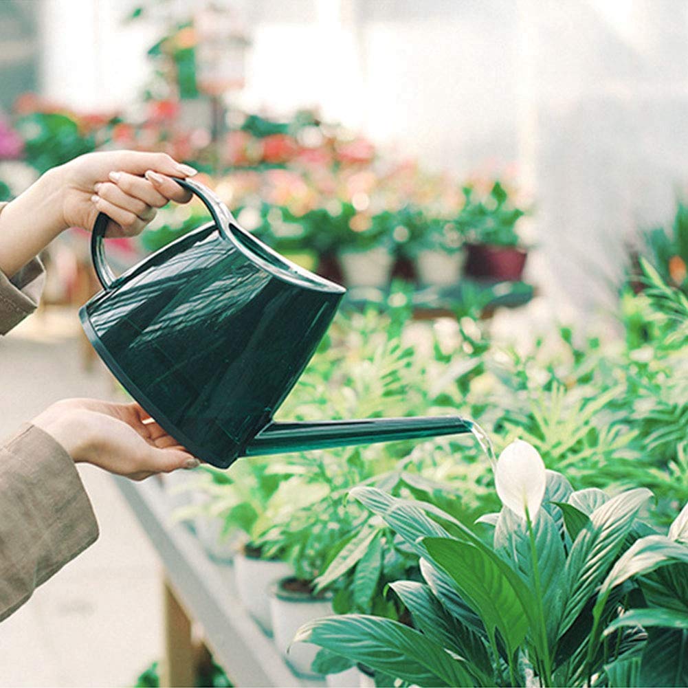 Hztyyier Petit Pulvérisateur Arrosoir, Arroseur à Long Bec, Design Élégant pour Jardin et Plantes d'Intérieur (Vert)