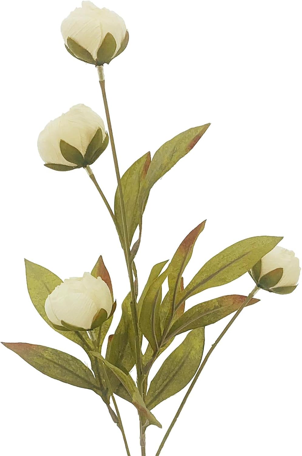 Ashland Cream Peony Stem, 16 Pack