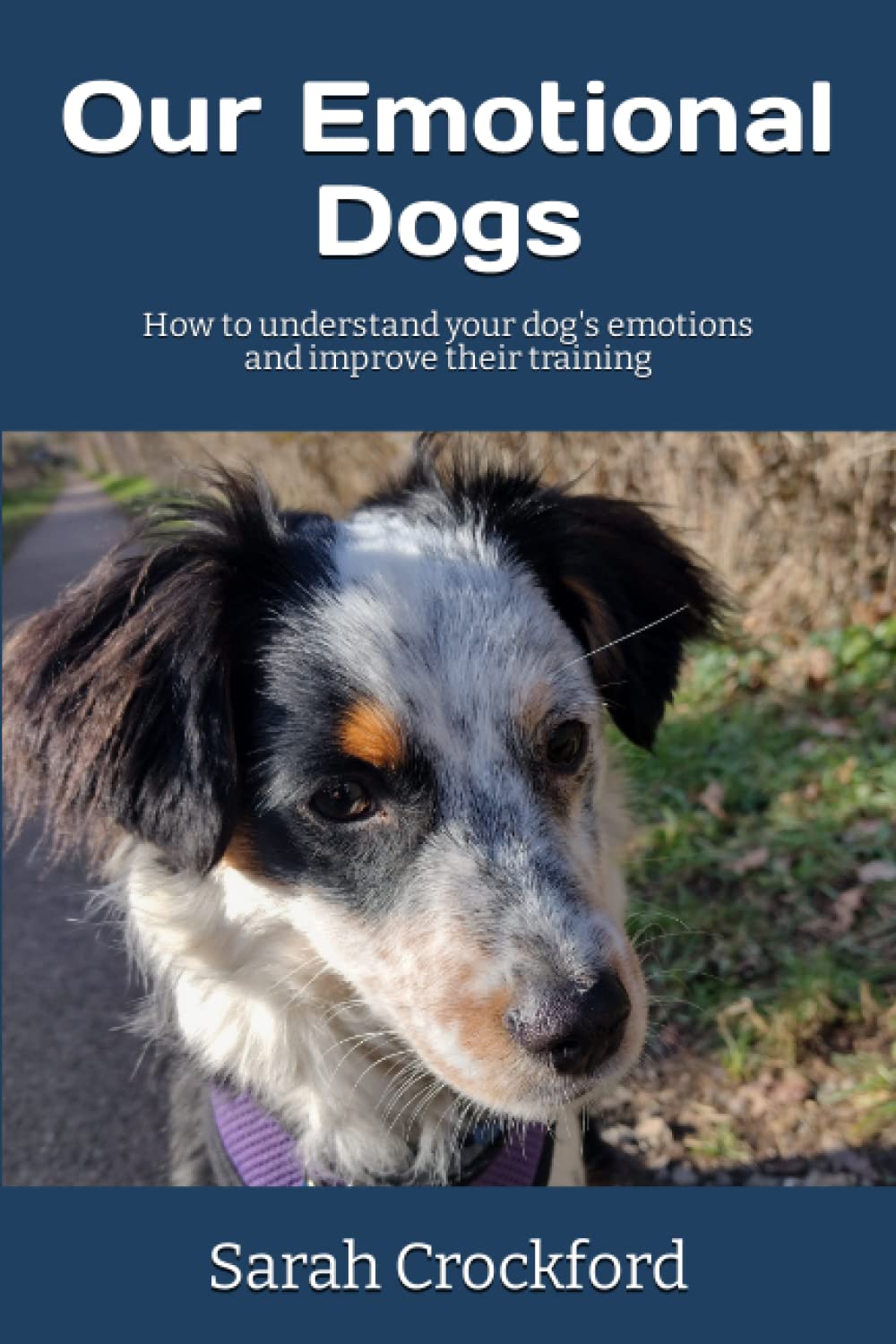 Our Emotional Dogs: How to understand your dog's emotions and improve their training