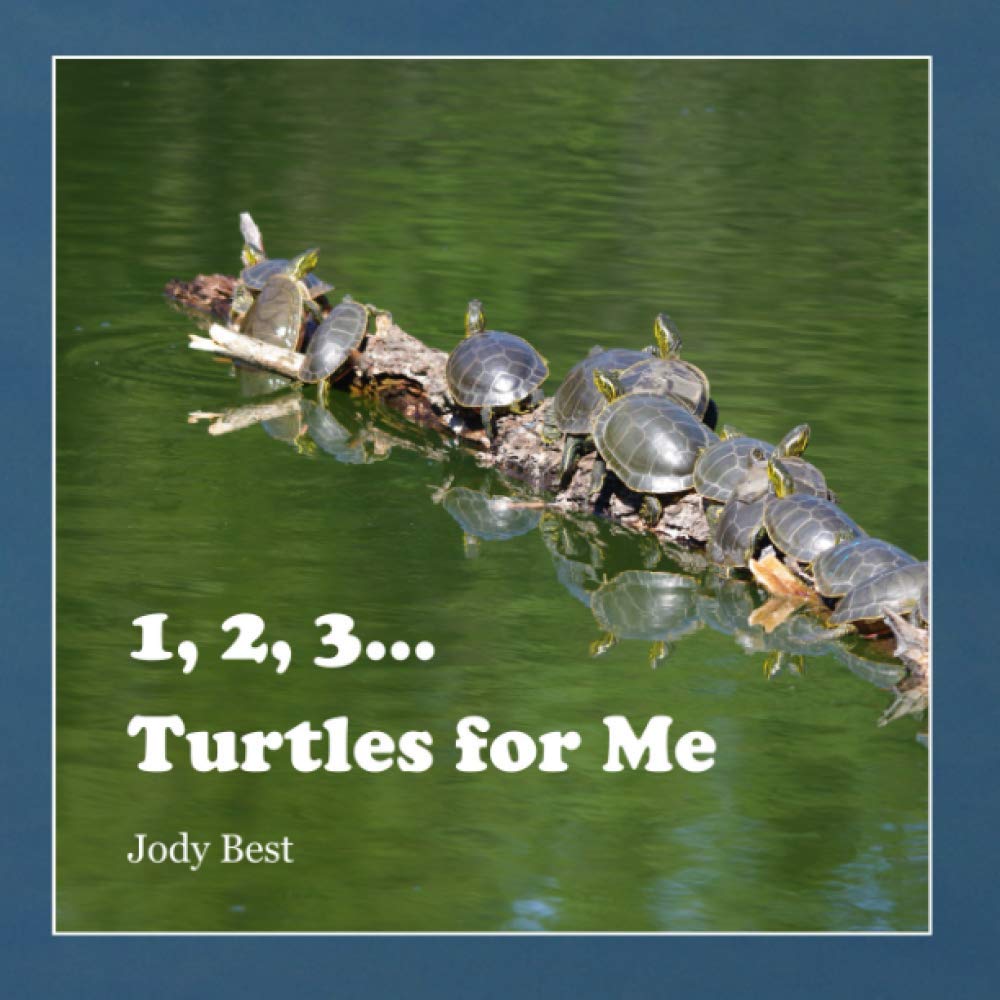 1, 2, 3... Turtles for Me
