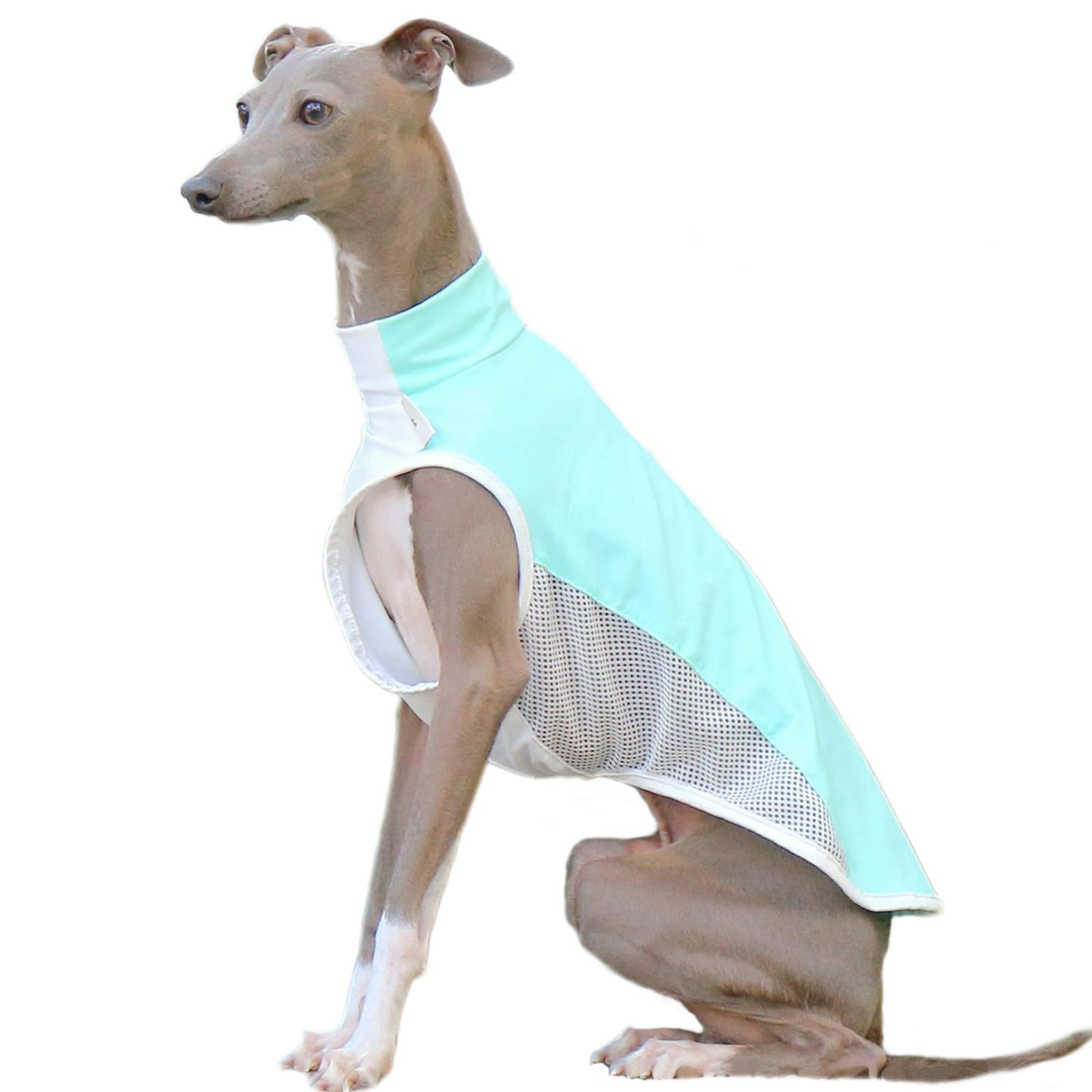 UOSIA Sun Protection Pet T-Shirts,Quick-Dry Breathable Mesh Dog Vest Clothes for Italian Greyhound Whippet Dogs