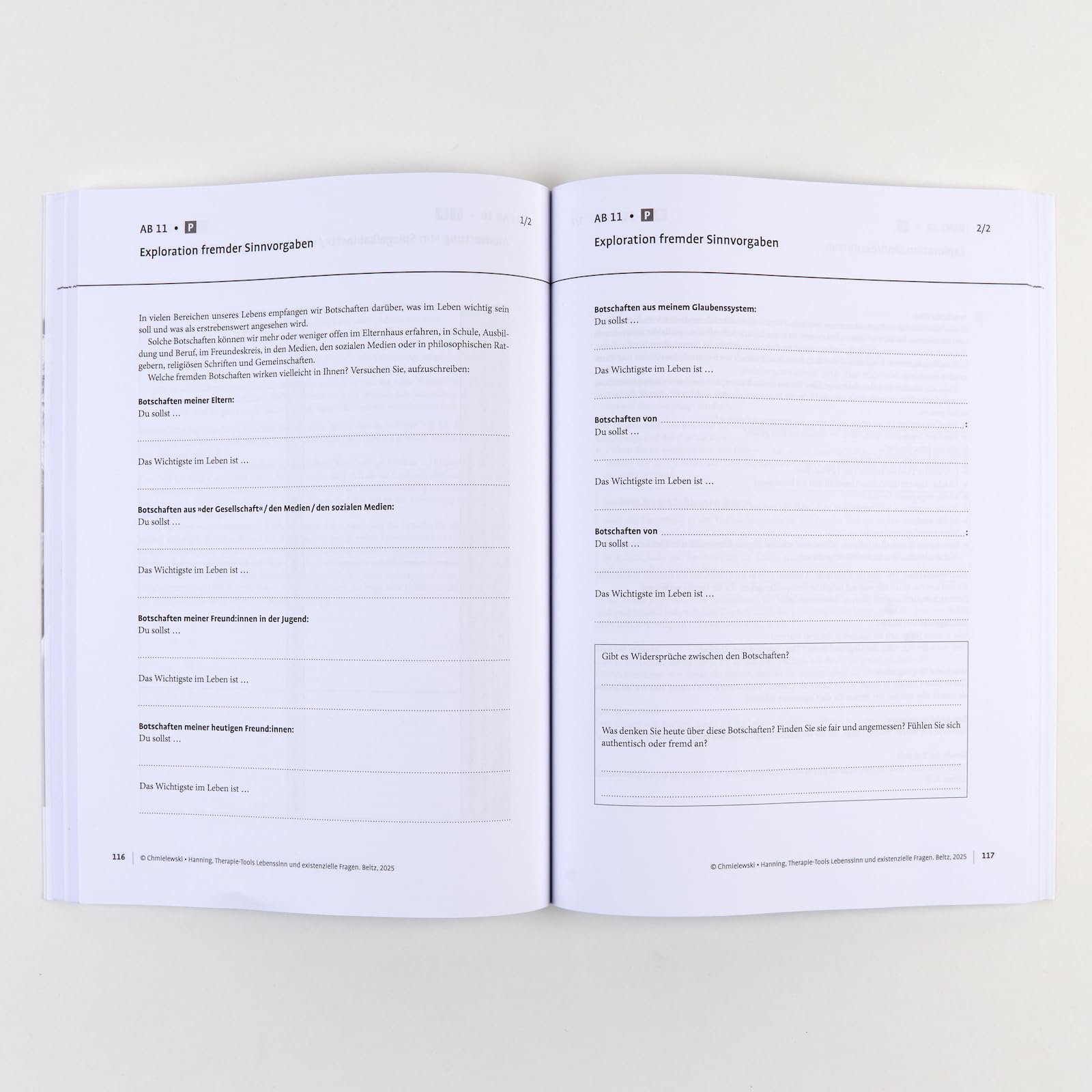 Therapie-Tools Lebenssinn und existenzielle Fragen: Mit E-Book inside und Arbeitsmaterial (Beltz Therapie-Tools)