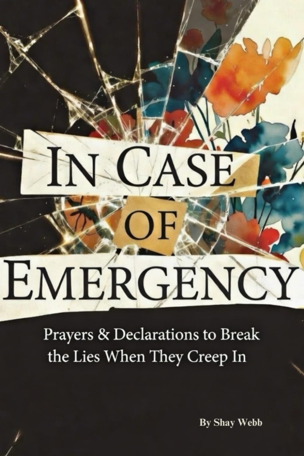 In Case Of Emergency: Prayers & Declarations to Break the Lies When They Creep In