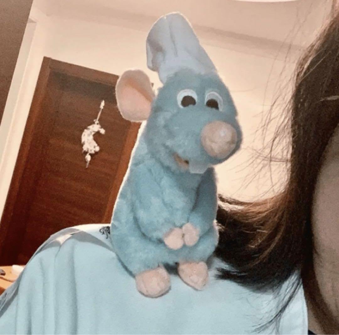 Amazon.co.jp: 日本未15cm レミー 肩乗りマグネット ぬいぐるみ ぬい  