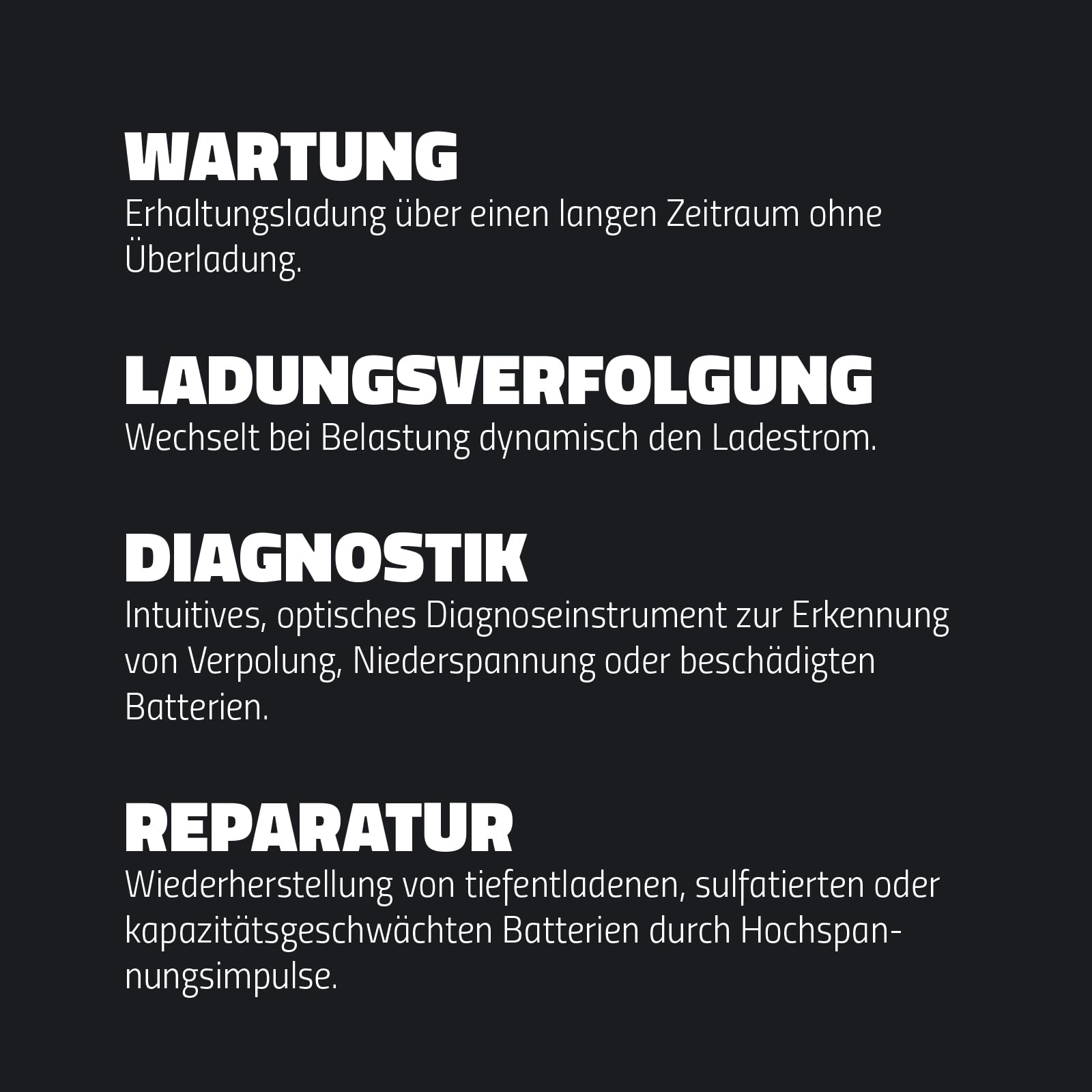 intAct ChargeBox Ladegerät für Motorradbatterien & Rollerbatterien | 0,8A Batterieladegerät für 6V und 12V Bleisäure- und Lithiumbatterien | Mit Erhaltungsladefunktion und Wiederbelebungsfunktion