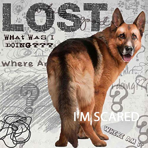 Image of The Blissful Dog German Shepherd Age Well Spray Aromatherapy