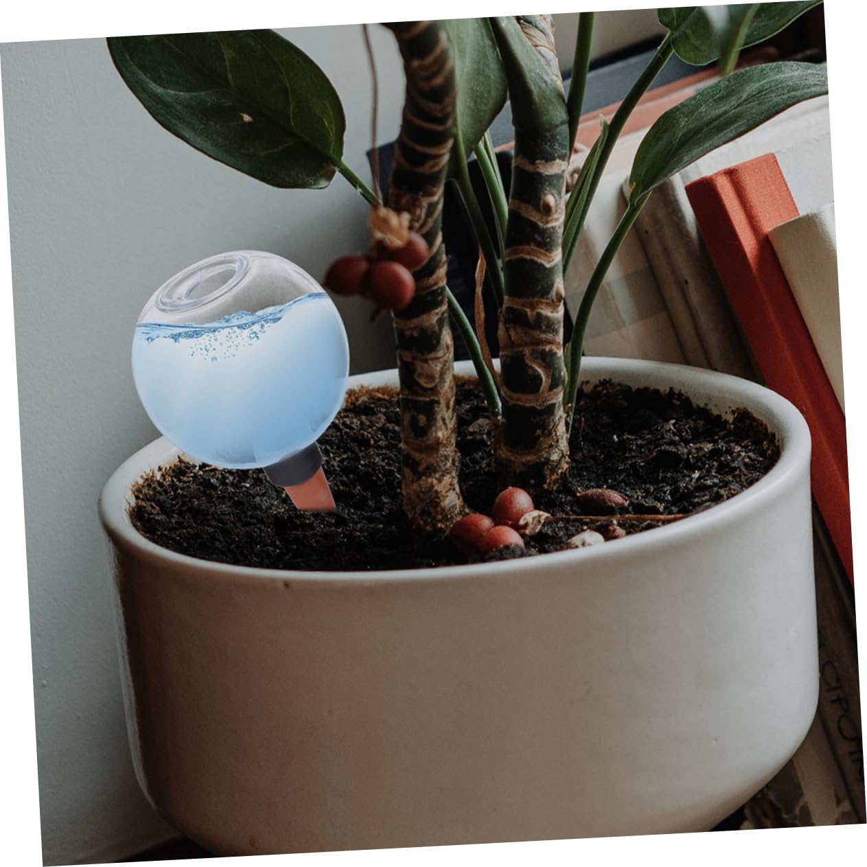 Hemobllo 8pièces Globes Arrosage Automatique pour Plantes Dispositif Irrigation pour Et Simplifie Arrosage Et Eau