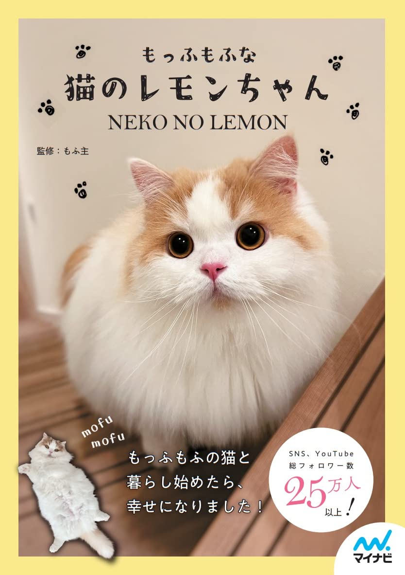 再販❣️大ぶりブラウン リボンとのびのびお手々が可愛い♡三毛猫ちゃんのピアス♡ しっぽふりふりあまえんぼう 子ねこちゃん | デジレクトオリジナルショップ