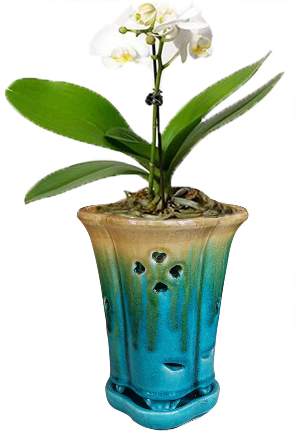Fowargif W5.7XH8.5inch Ceramic Orchid pots with Holes,Round Green Ceramic Orchid Pot with Saucer,Ceramic air Plant Pot with Holes,Butterfly Pot Saucer Windowsill Contemporary(Blue)