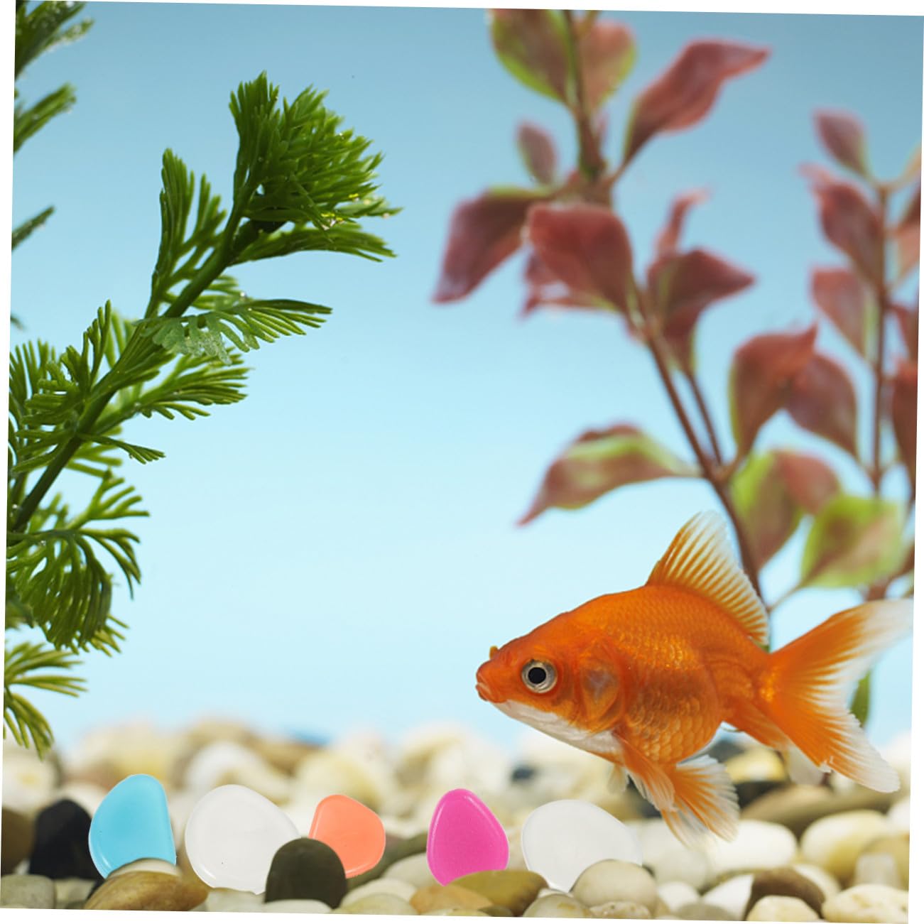 Yardwe 3 Sätze Leuchtende Kiesel Fischbecken Schaukelt Kies Aquarienversorgung Fischfelsen Für Becken Dekorative Blumentopfkiesel Kompakte Aquariensteine Harz 200 Stück * 3