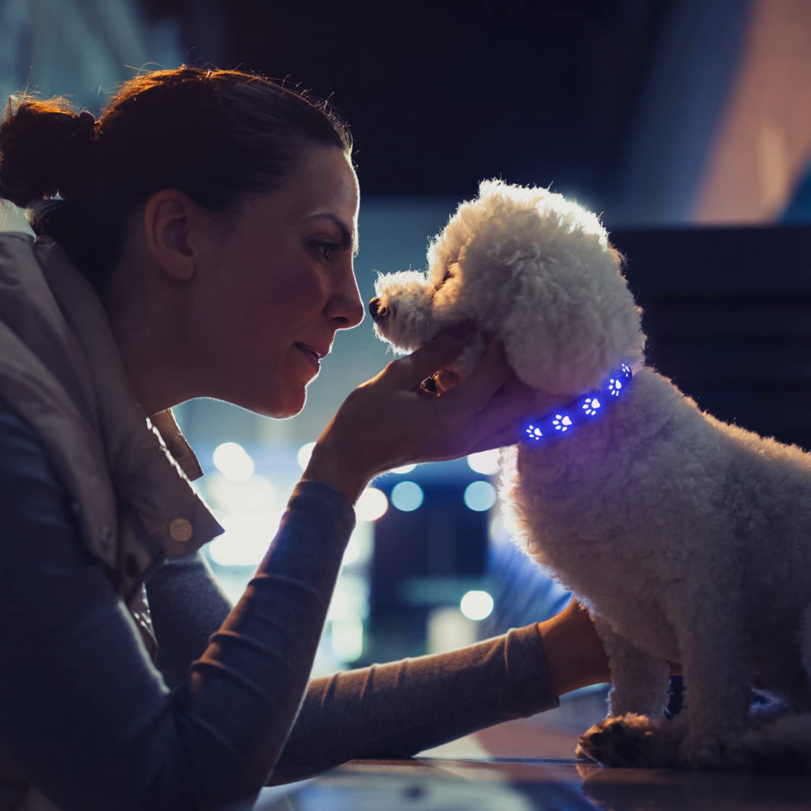 LED Dog Collar,7 Modes,USB Rechargeable Waterproof Adjustable Light Up Dog Collar Super Bright Safety Light Glowing Collars for Dogs Night Walking (M: 15.7" - 19.7")