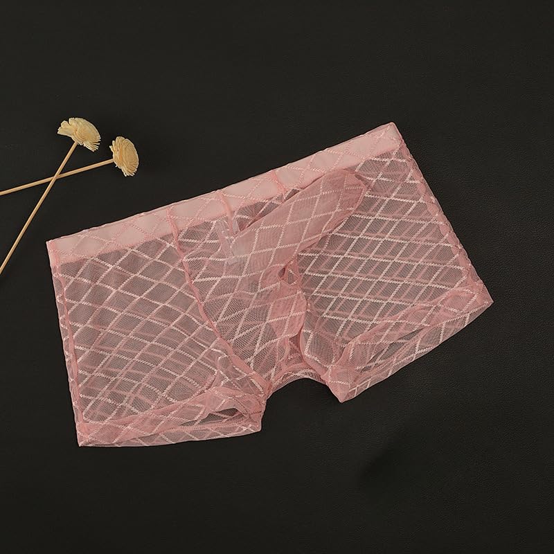 Men's Sheer Boxer Briefs See Through Breathable Mesh Lingerie Transparent Elephant Nose Trunk Sexy Thong Underwear4