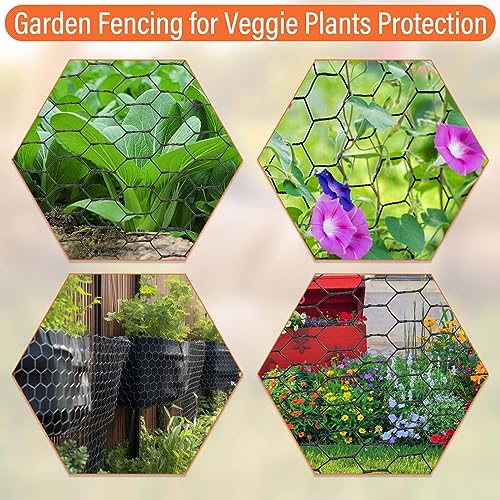 Black Welded Wire Mesh Fence Roll for Garden Protection and Crafts