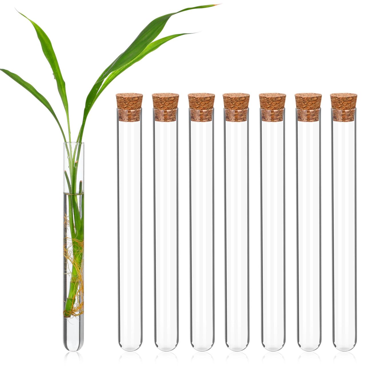STOBAZA Tubes À Essai En Verre 20.00 Cm Lot De 8 Avec Bouchons Conteneurs De Stockage Liquide À Fond Rond Pour Laboratoire École Et Maison