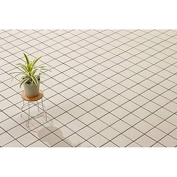 2箱目/全2箱 Takasho ( kaws ) 磁器タイルセット タカショウさま専用（うのにもお得な 2箱目⁄全2箱 Takasho