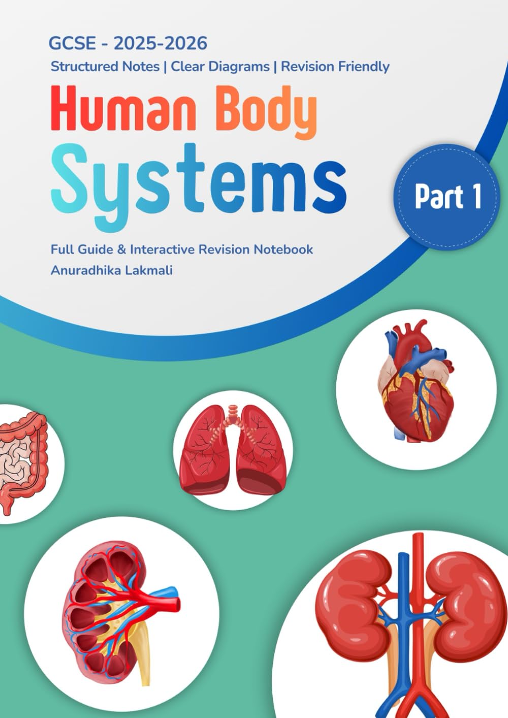 Human Body Systems Part 1: GCSE Biology - Human Physiology revision notes