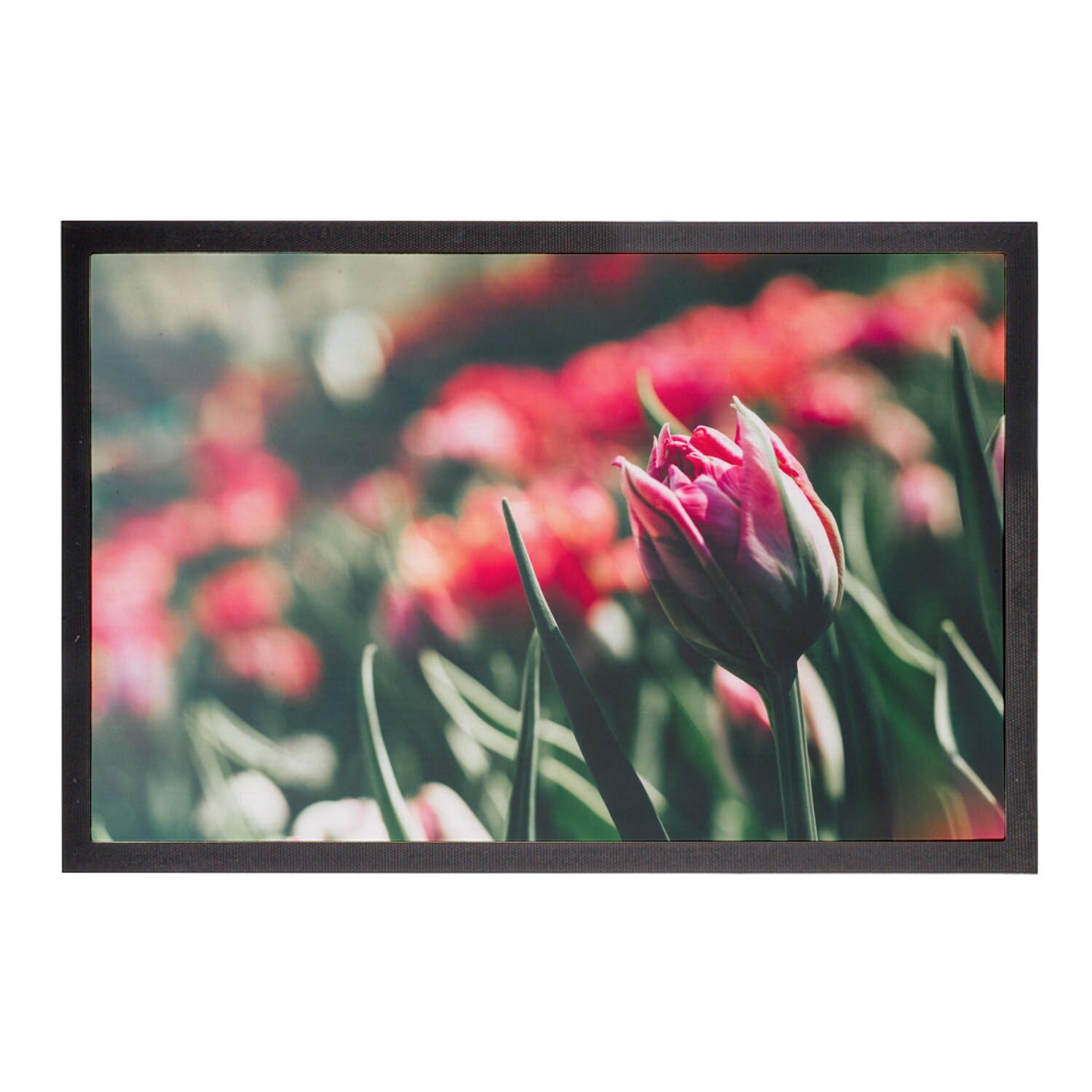 Paillasson macro tulipe rose 75x50 protège votre sol des salissures