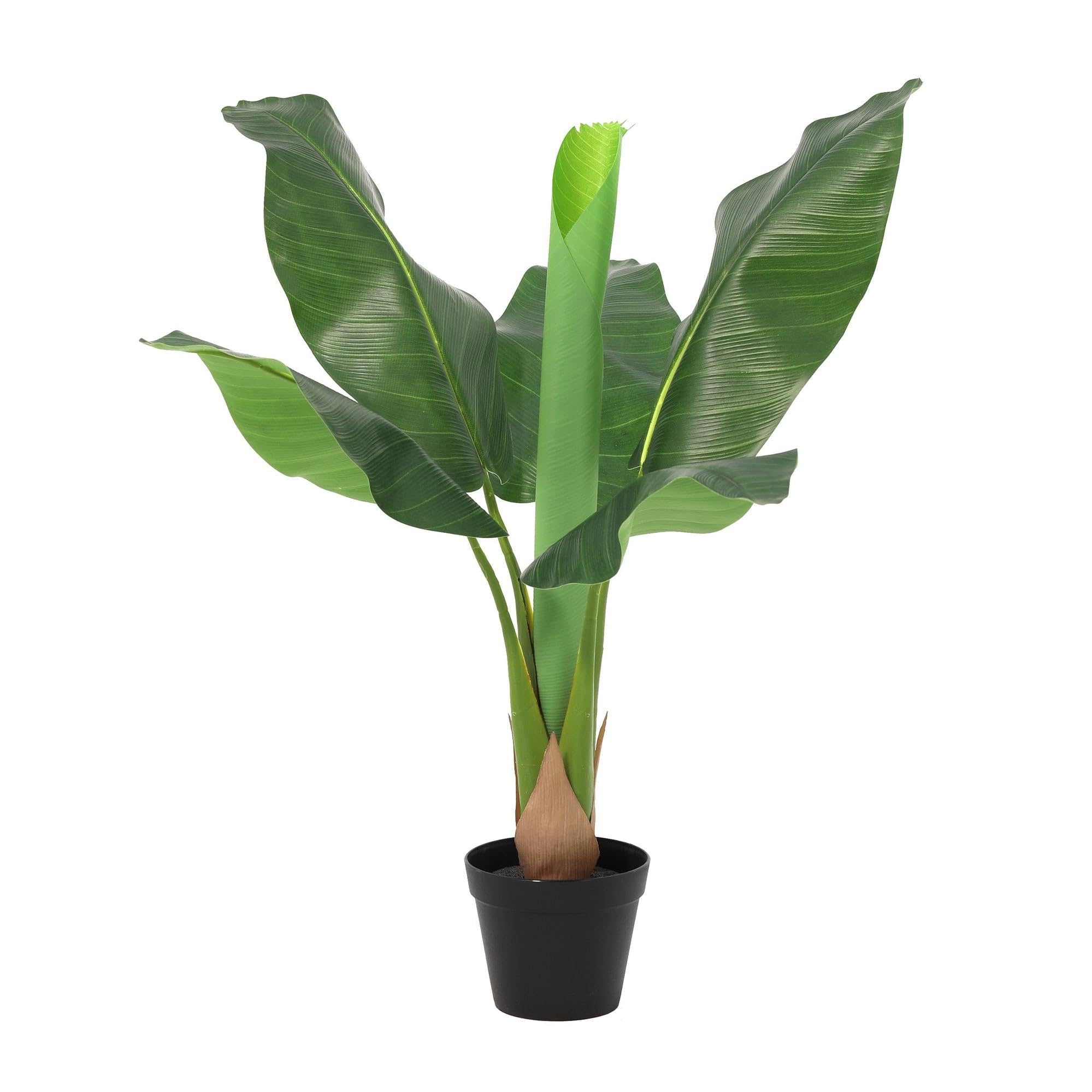 Plante de bananier artificielle Musa 80 cm avec grandes feuilles