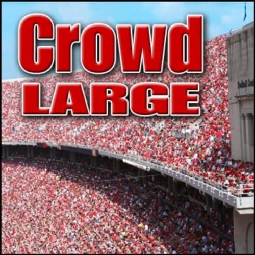 Crowd Large Sound Effects Sound Effects Digital Music