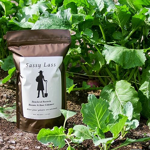 Sassy Lass Soil Booster Molasses Extract + Humic and Fulvic Acid Fertilizer - 2 Pound Bag