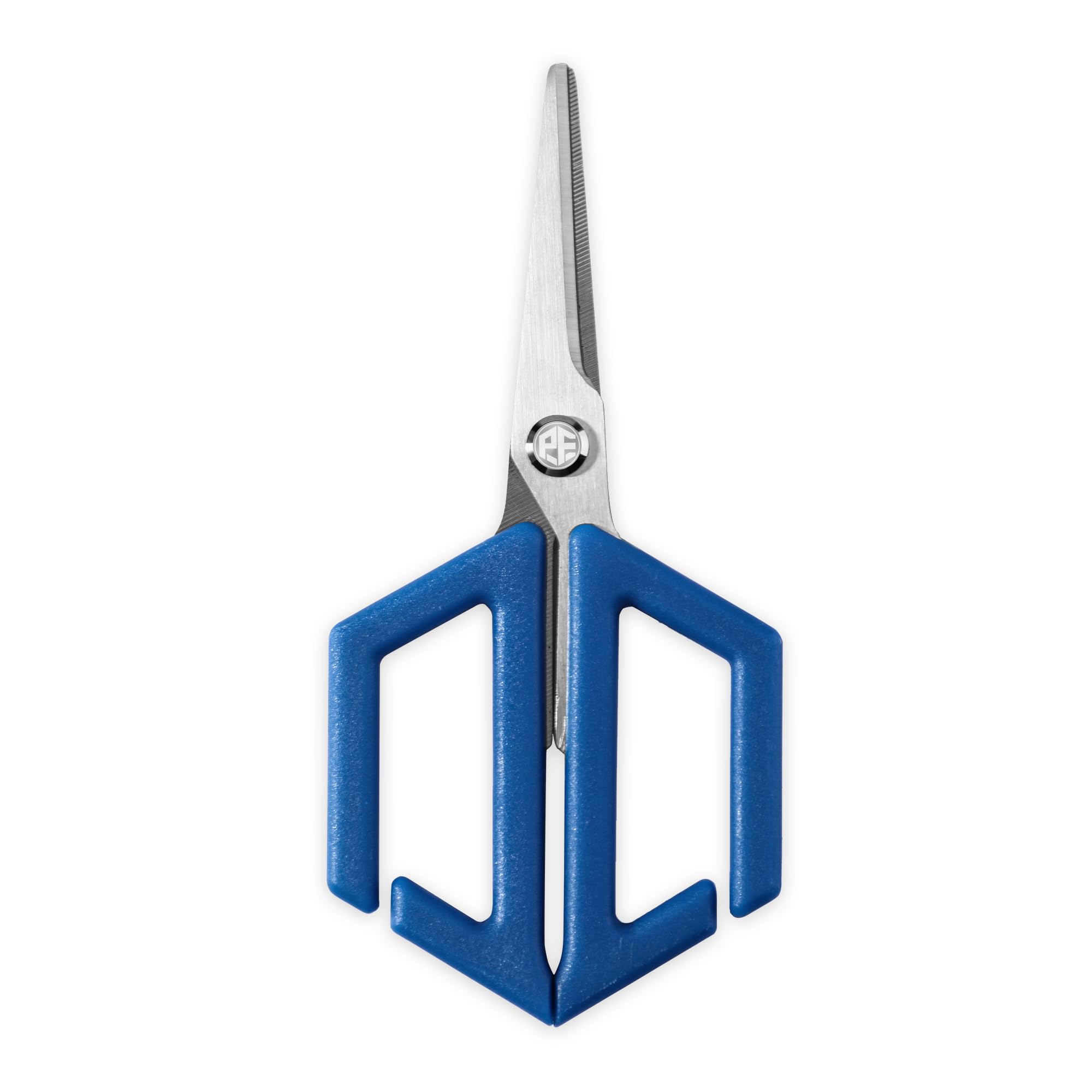 Amazon.com: Petrified fish Scissors,2.83
