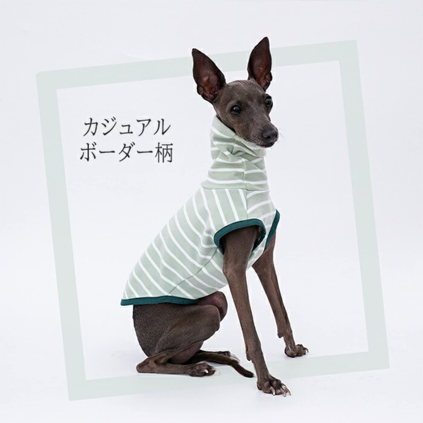 Amazon | イタリアングレーハウンド 服 イタグレ ボーダー フリース 