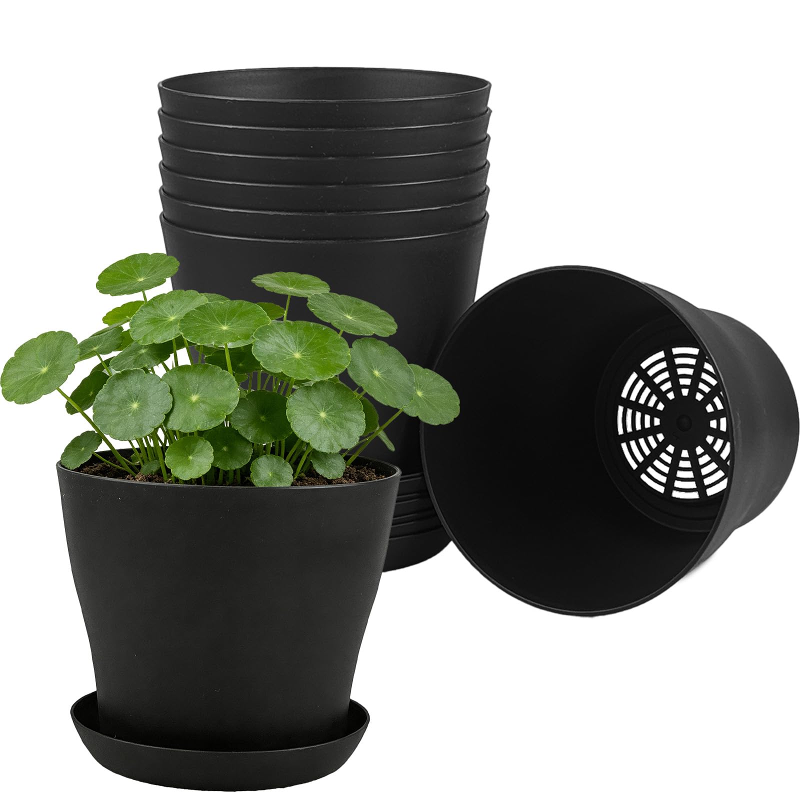 8 Pack Plastic Plant Pots 14cm/5.5-in Flower Pots with Drainage Holes and Tray Modern Decorative Planter Pot Indoor Outdoor Planters for All House Plants(8 Colour) — view 8
