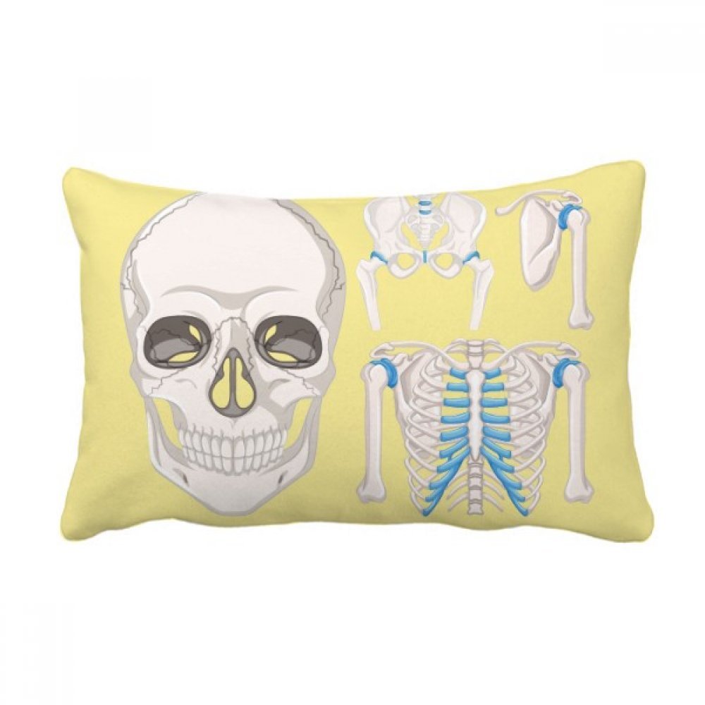 Coussin Lombaire Crâne Squelette 40x60 cm pour Canapé Décoratif Multicolor