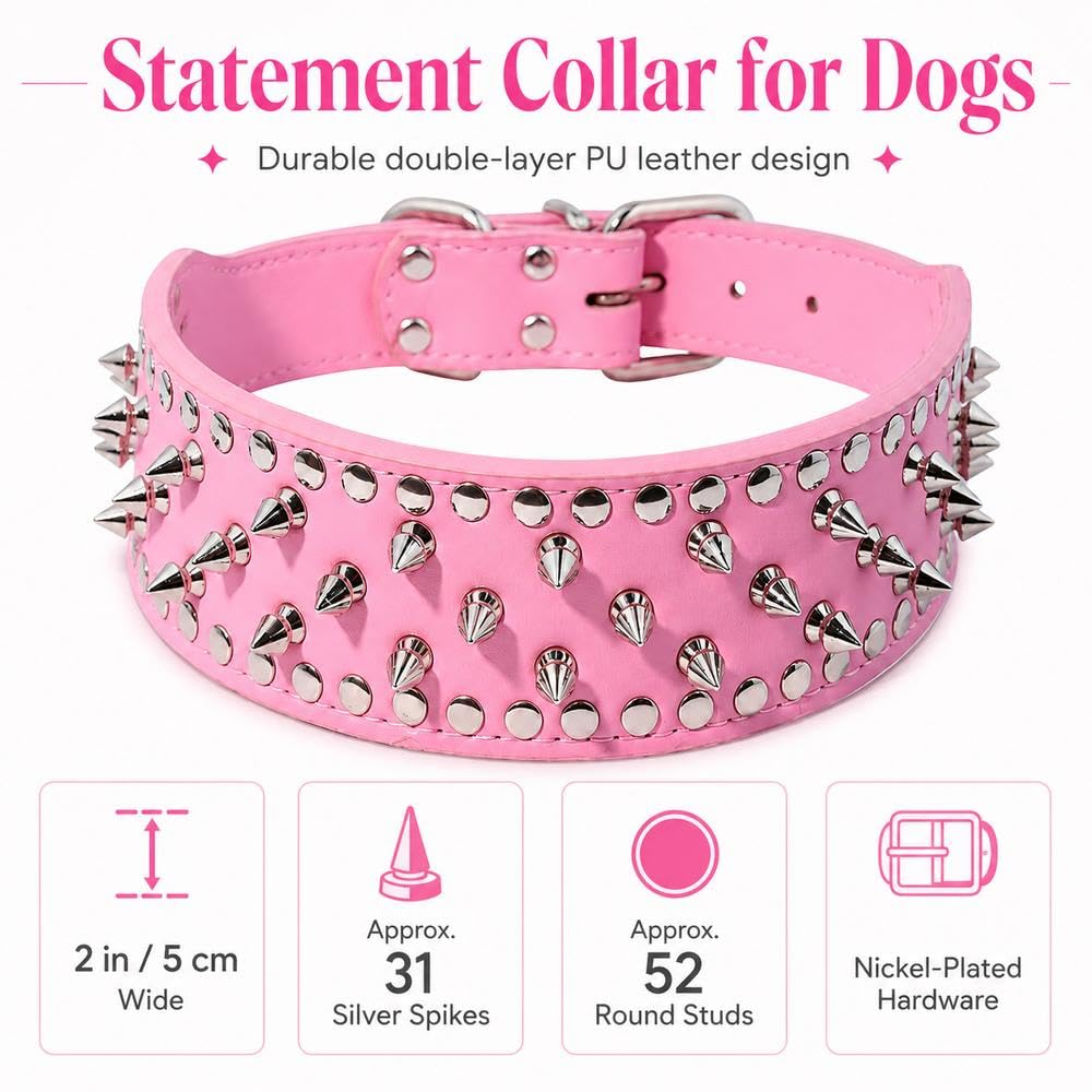 View 6