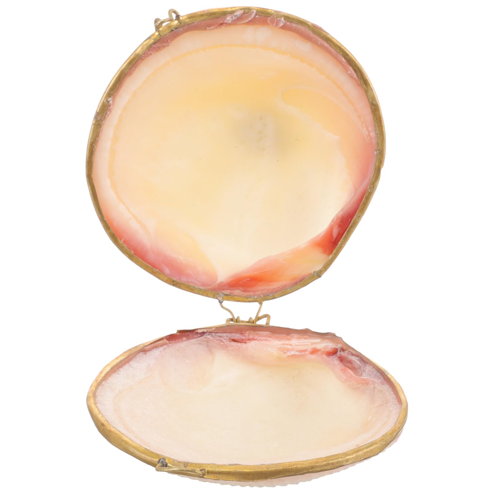 SEWACC Seashell Jewelry Box Sea Shell Hinged Trinket Boxes Seashell Figurines Jewelry Dish Ocean Earring Holder Collectibles Unique Women Girls Home Wedding