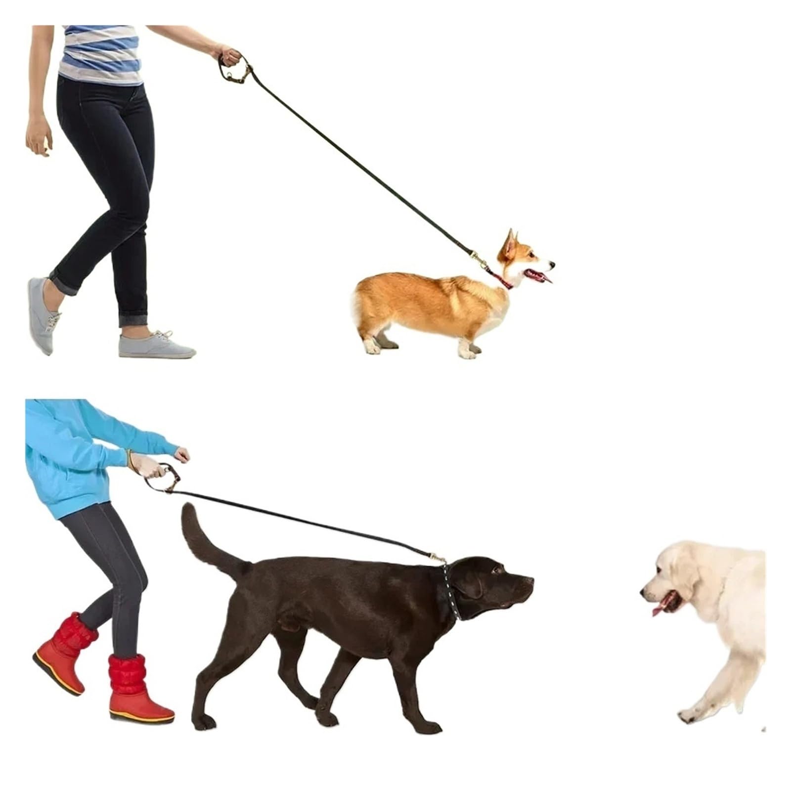 Laisse Mains Libres for Chien, 1 pièce, 2.3m, en Cuir, à bandoulière, multifonctionnelle, for Animaux de Compagnie, Marche, Jogging(Brown)