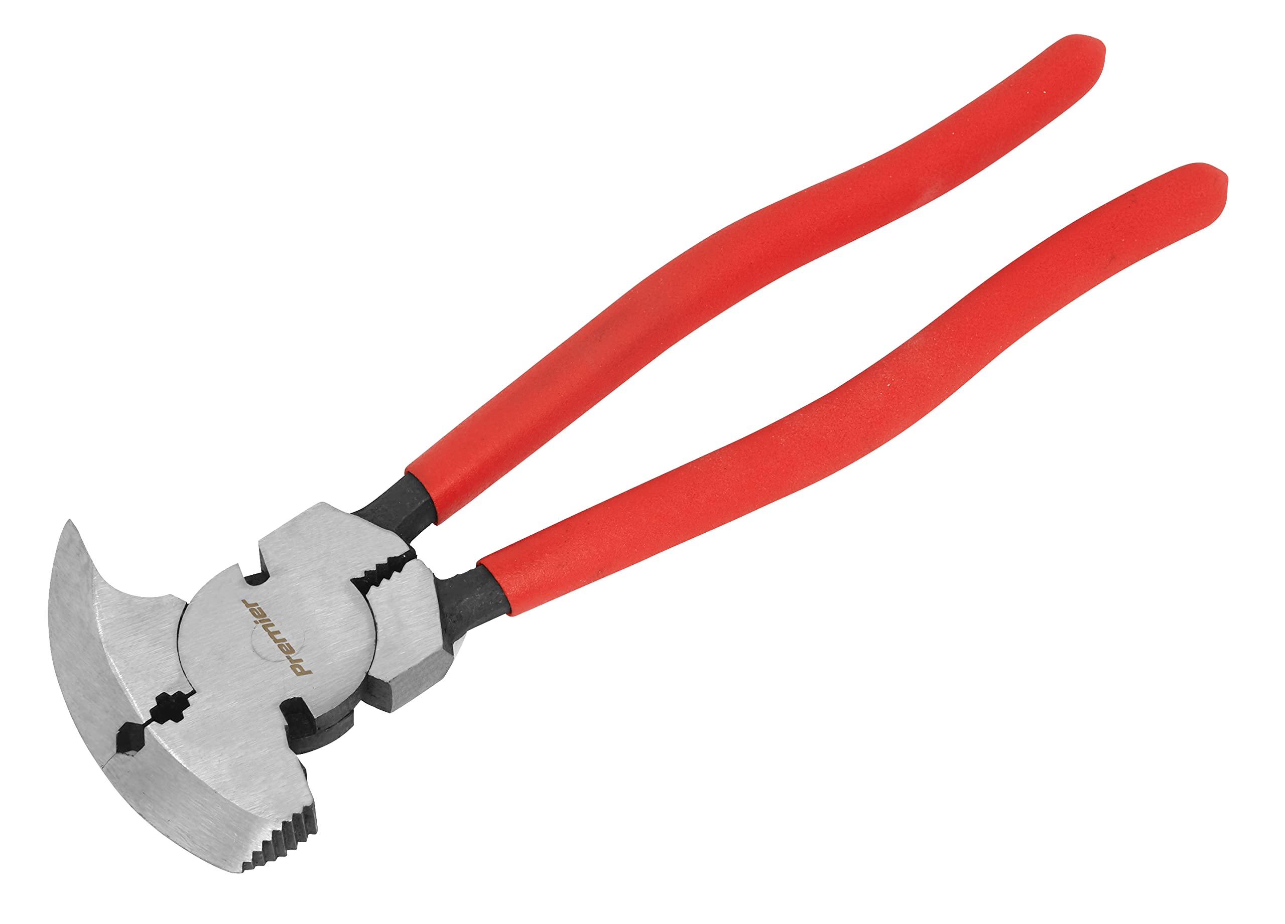 Pinza Per Dermal Anchor 3 Fori - Max Signorello - Foto 8